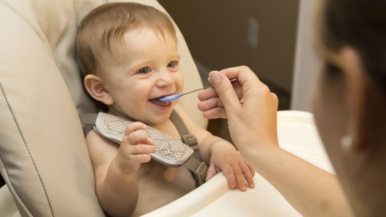 Read more about the article What Should be the First Baby Food